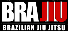 Brajiu Artes Marciais